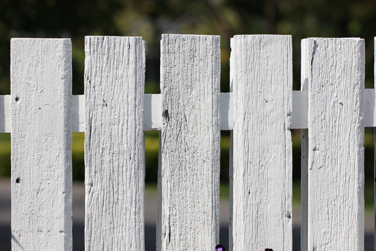 White Wooden Fences